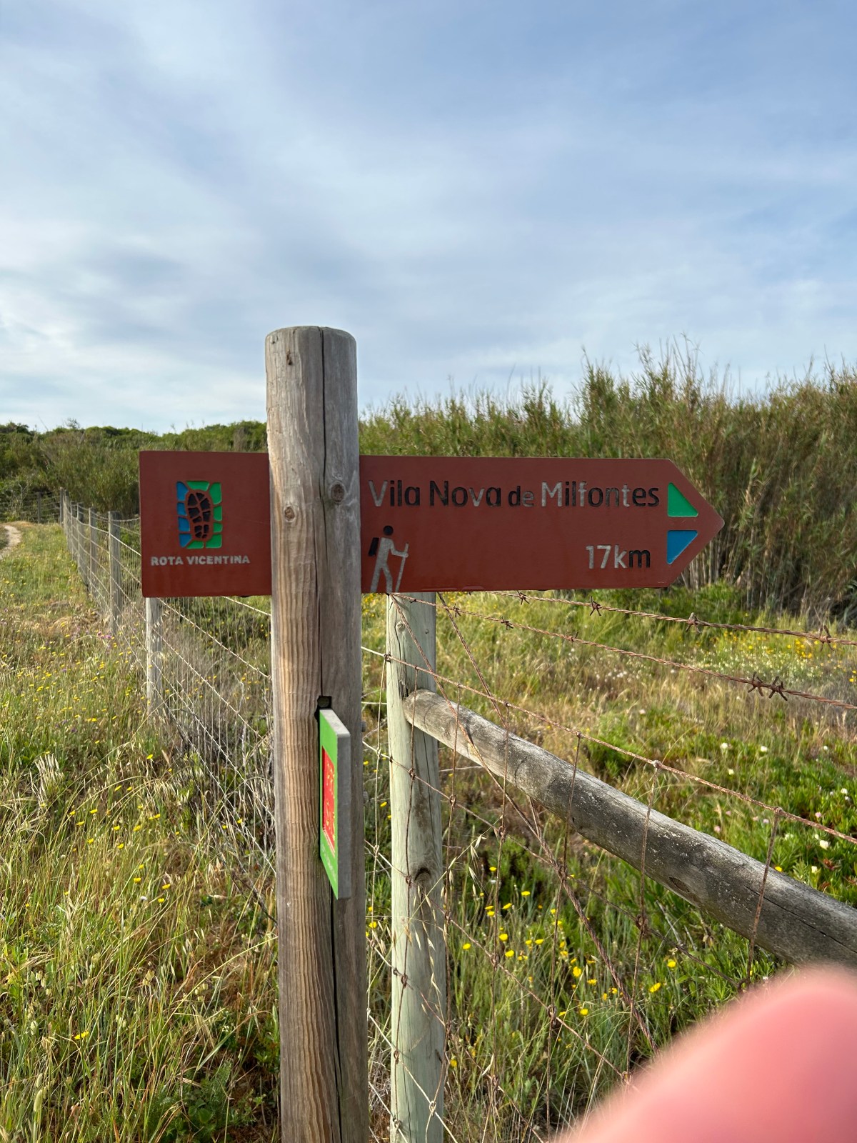 Best of The Rota&nbsp;Vicentina