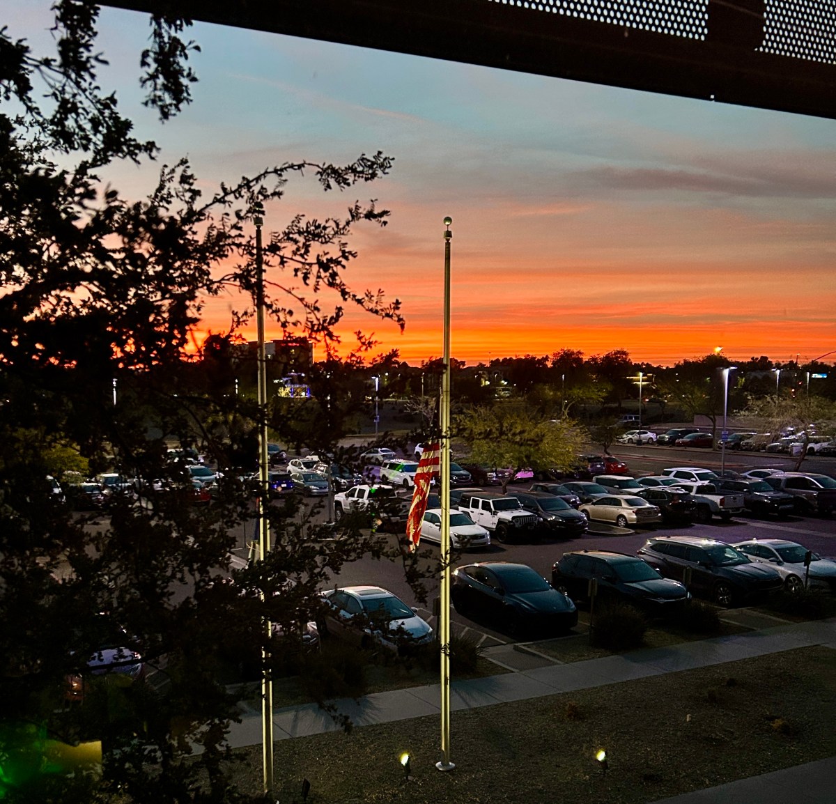 2025 Annus Horribilis